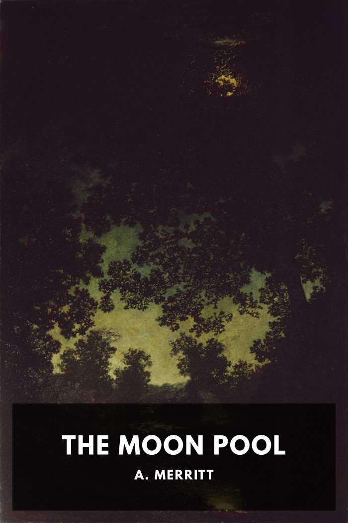 Cover of The Moon Pool by A. Merritt