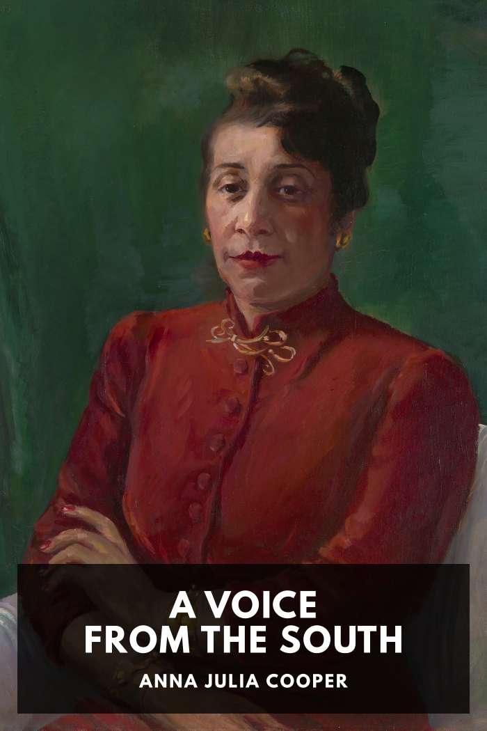 Cover of A Voice from the South