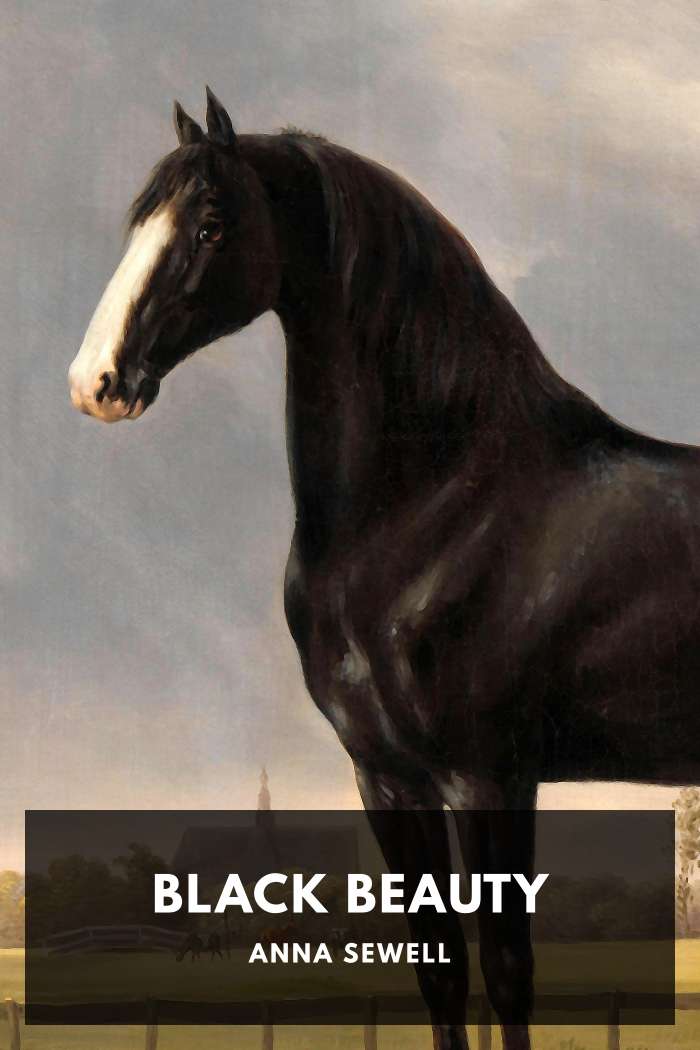 Okładka "Black Beauty" od Anna Sewell