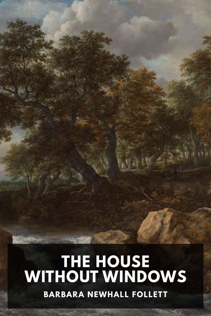 Cover of The House Without Windows