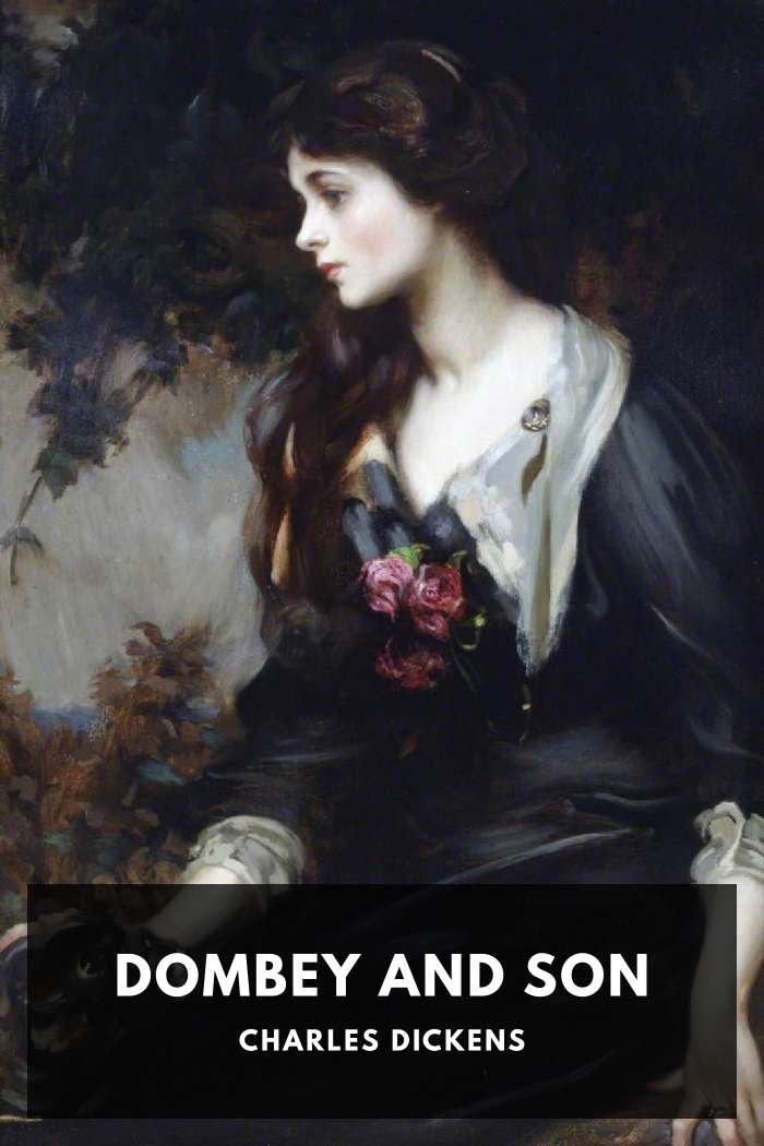 Cover of Dombey and Son