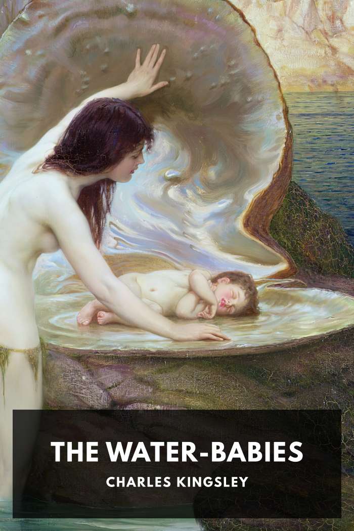 Cover of The Water-Babies