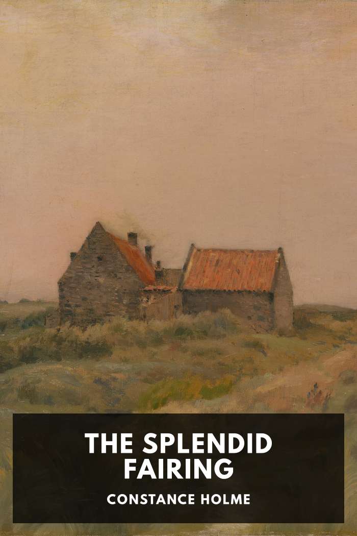 Cover of The Splendid Fairing by Constance Holme