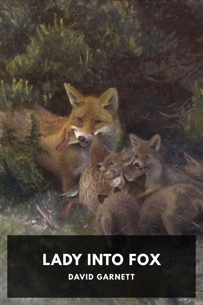 Cover of Lady Into Fox
