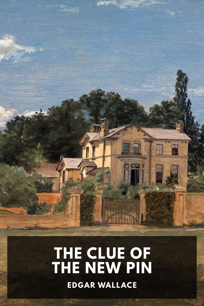 Cover of The Clue of the New Pin