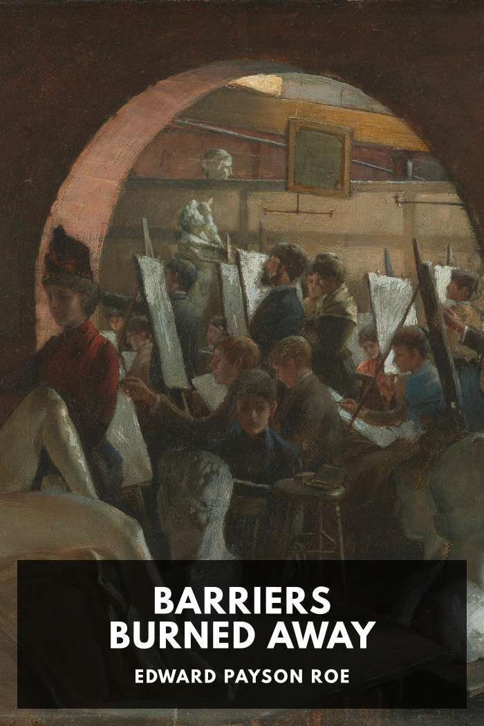 Cover of Barriers Burned Away