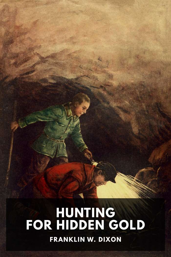Cover of Hunting for Hidden Gold