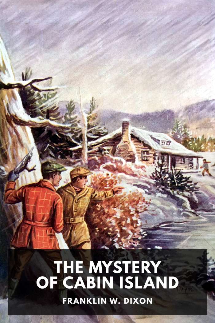 Cover of The Mystery of Cabin Island