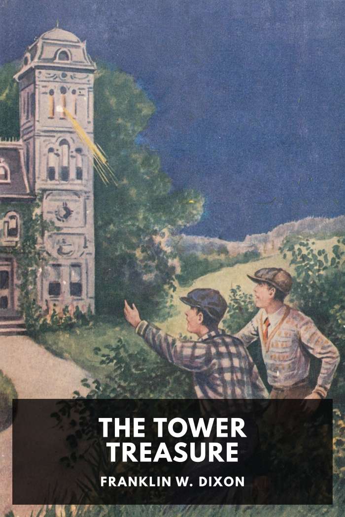 Cover of The Tower Treasure