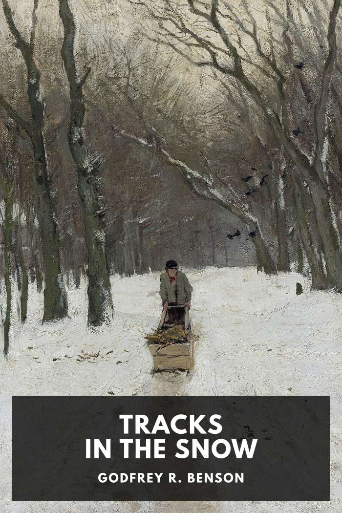 Cover of Tracks in the Snow