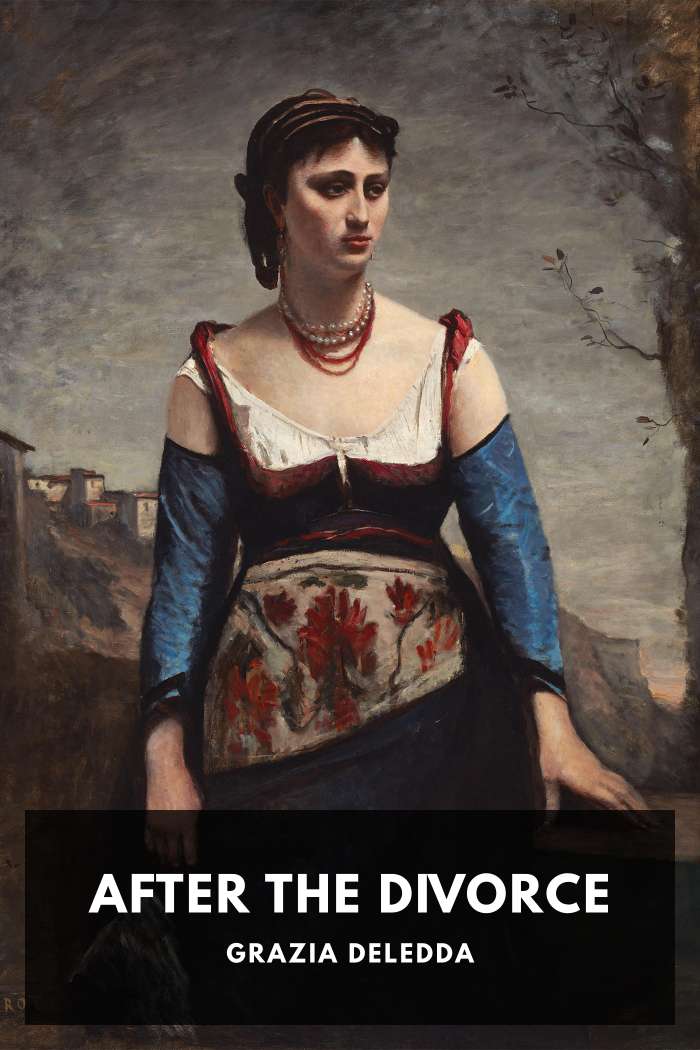 Cover of After the Divorce