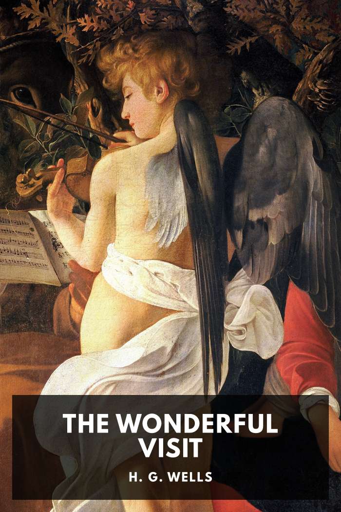 Cover of The Wonderful Visit