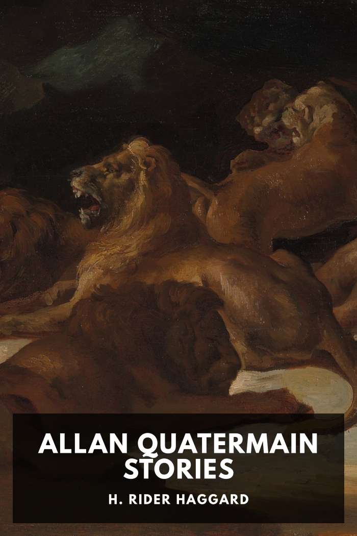 Cover of Allan Quatermain Stories