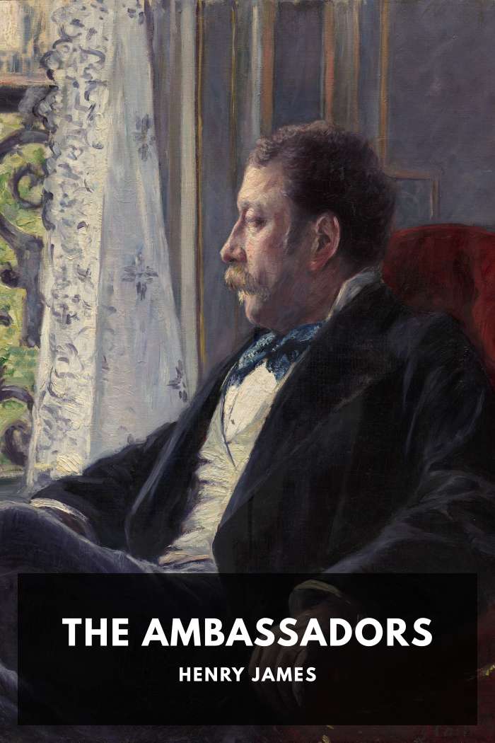Cover of The Ambassadors by Henry James