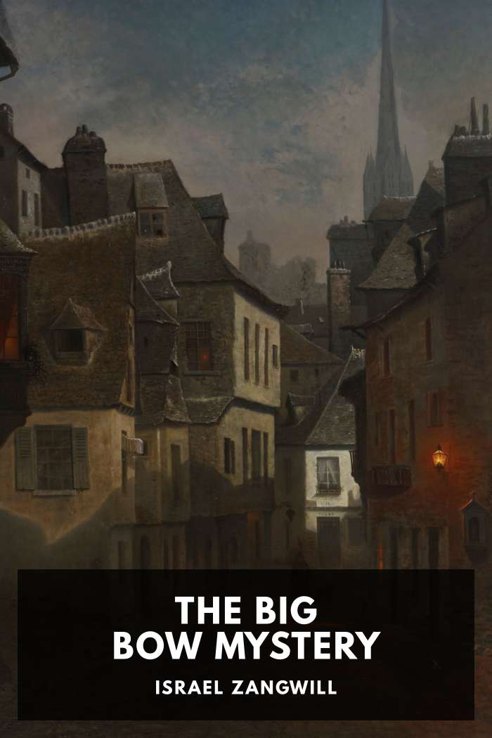 Cover of The Big Bow Mystery