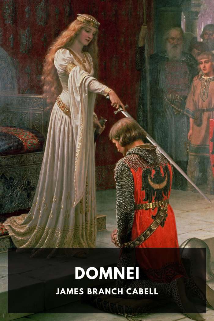Cover of Domnei
