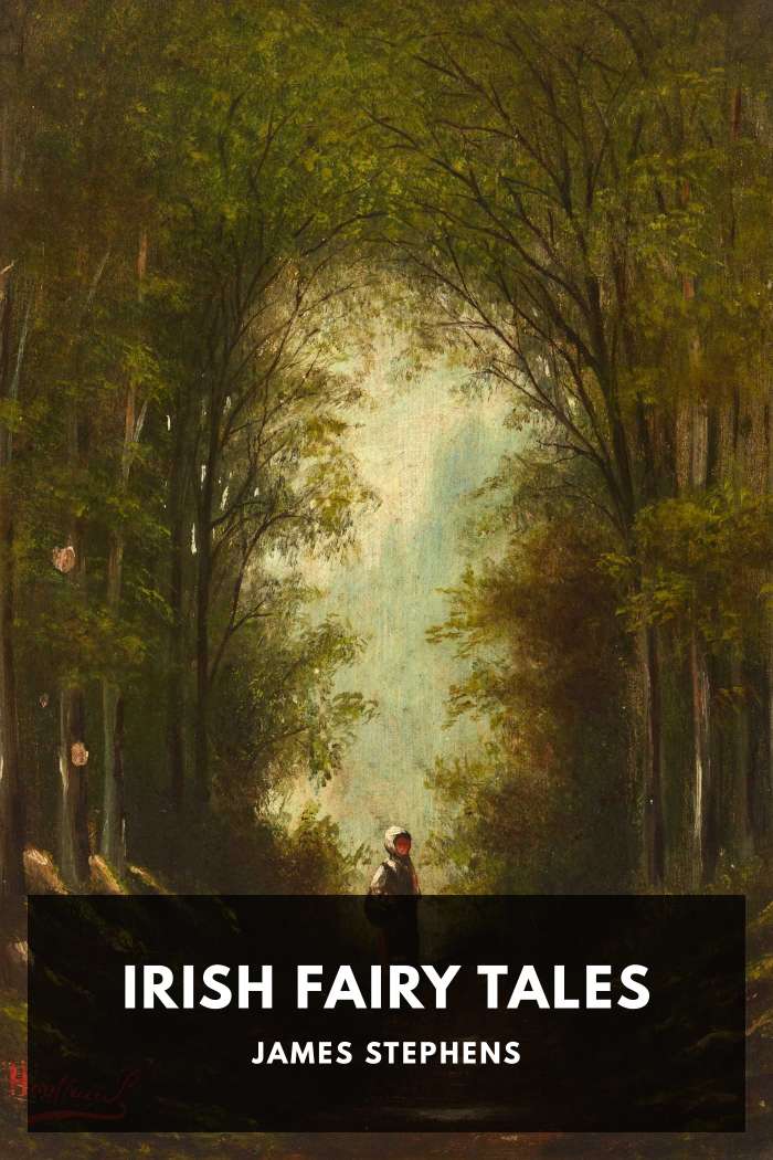 Cover of Irish Fairy Tales