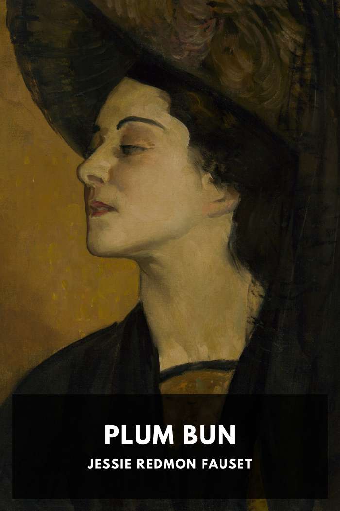 Cover of Plum Bun by Jessie Redmon Fauset