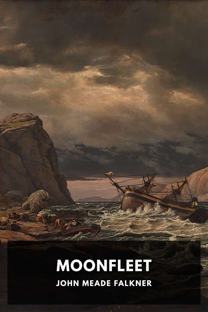 Cover of Moonfleet by John Meade Falkner