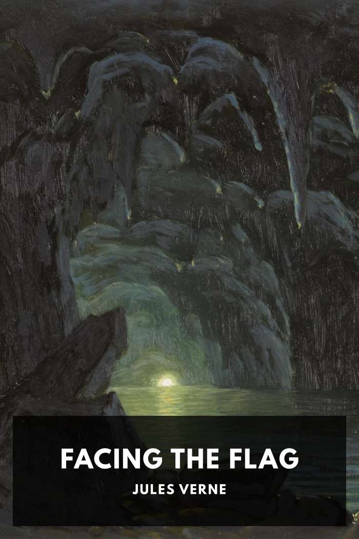 Cover of Facing the Flag