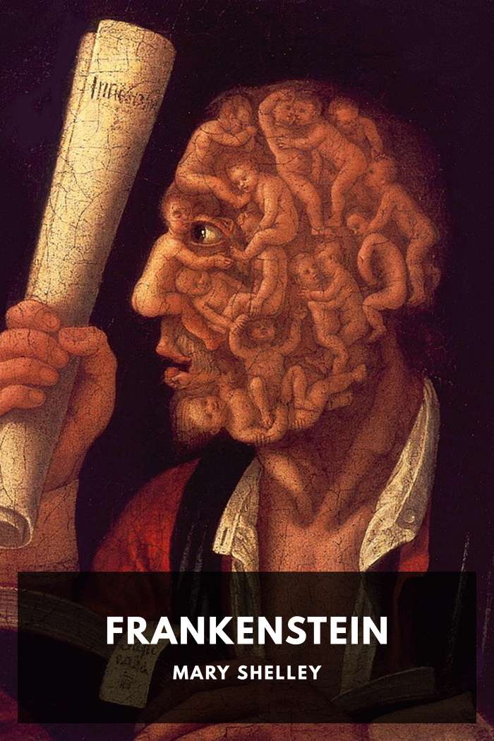 Cover of Frankenstein