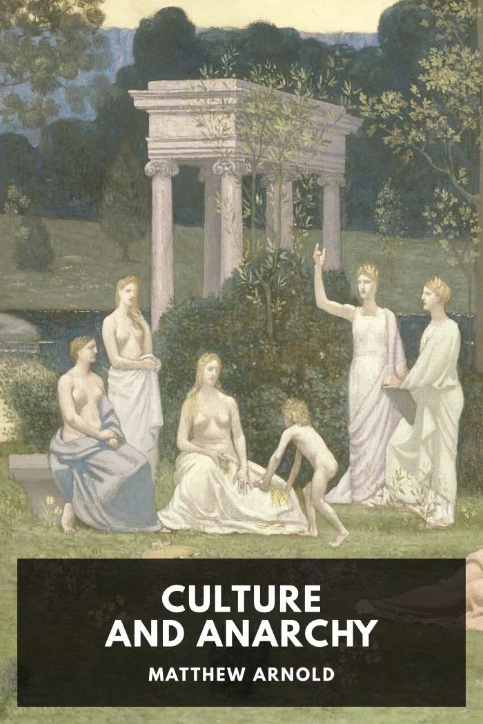 Cover of Culture and Anarchy