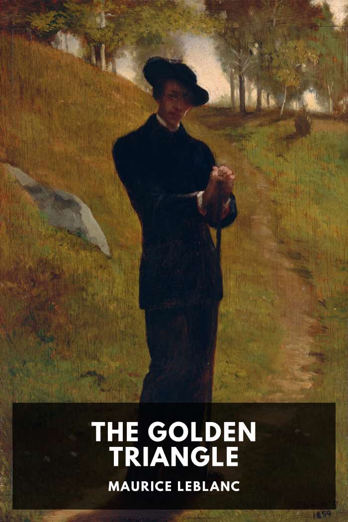 Cover of The Golden Triangle