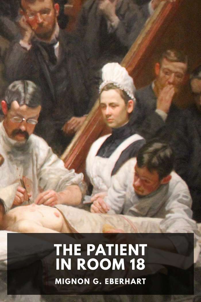 Cover of The Patient in Room 18