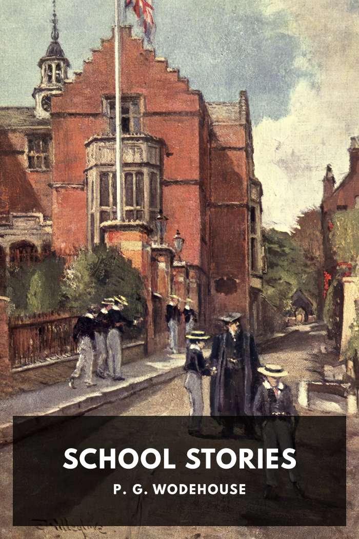 Cover of School Stories