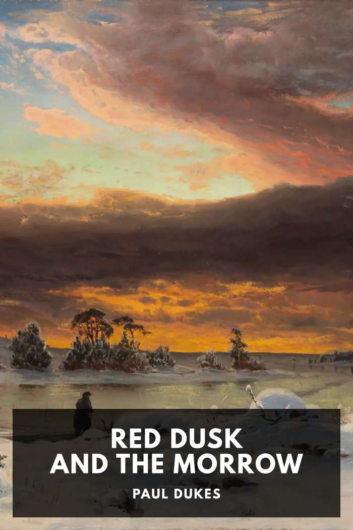Cover of Red Dusk and the Morrow