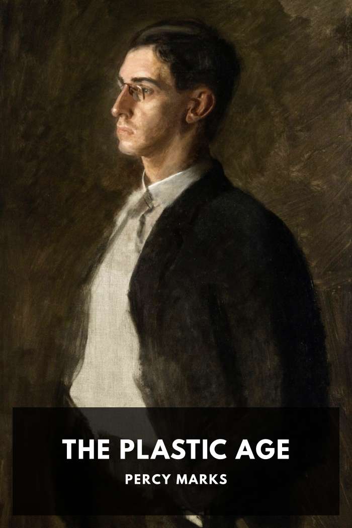 Cover of The Plastic Age by Percy Marks