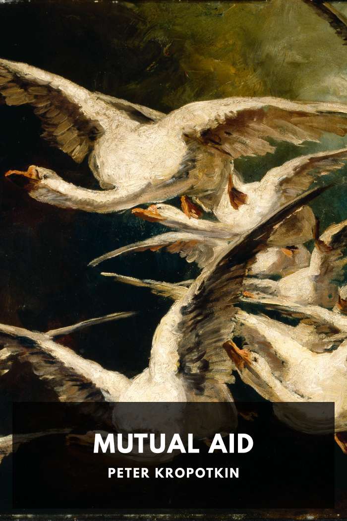 Cover of Mutual Aid