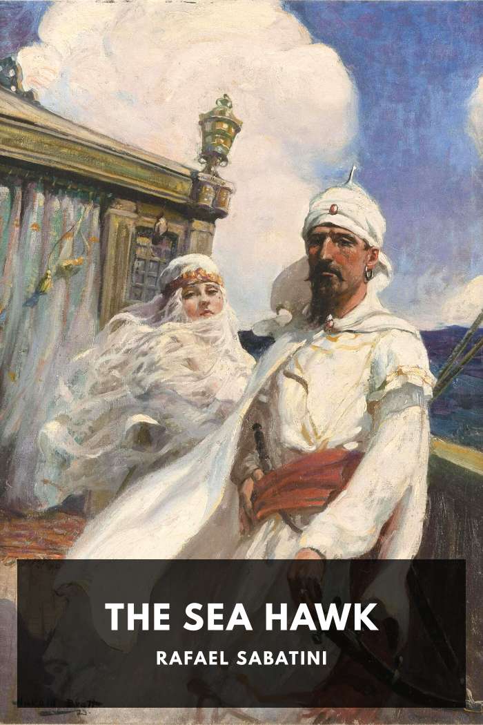 Cover of The Sea Hawk by Rafael Sabatini
