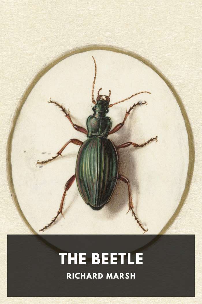Cover of The Beetle
