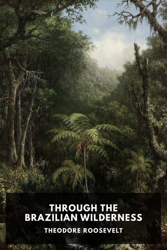 Cover of Through the Brazilian Wilderness