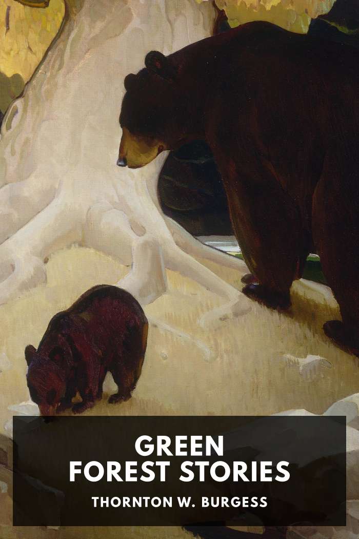 Cover of Green Forest Stories