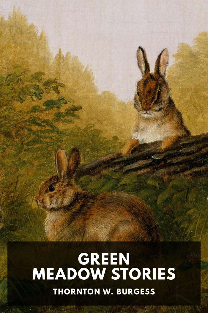 Cover of Green Meadow Stories