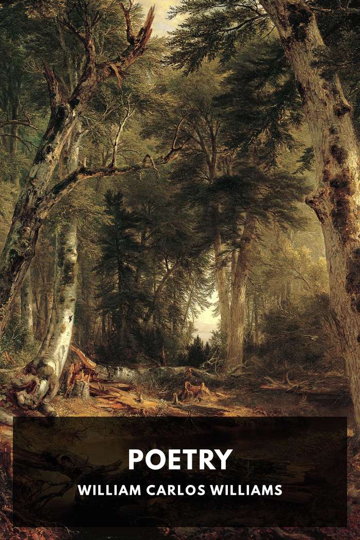 Cover of Poetry by William Carlos Williams