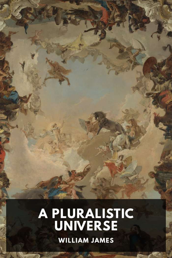 Cover of A Pluralistic Universe