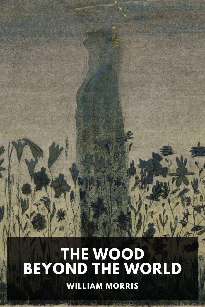 Cover of The Wood Beyond the World by William Morris